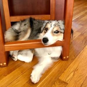 Meet your Posher, Sharon